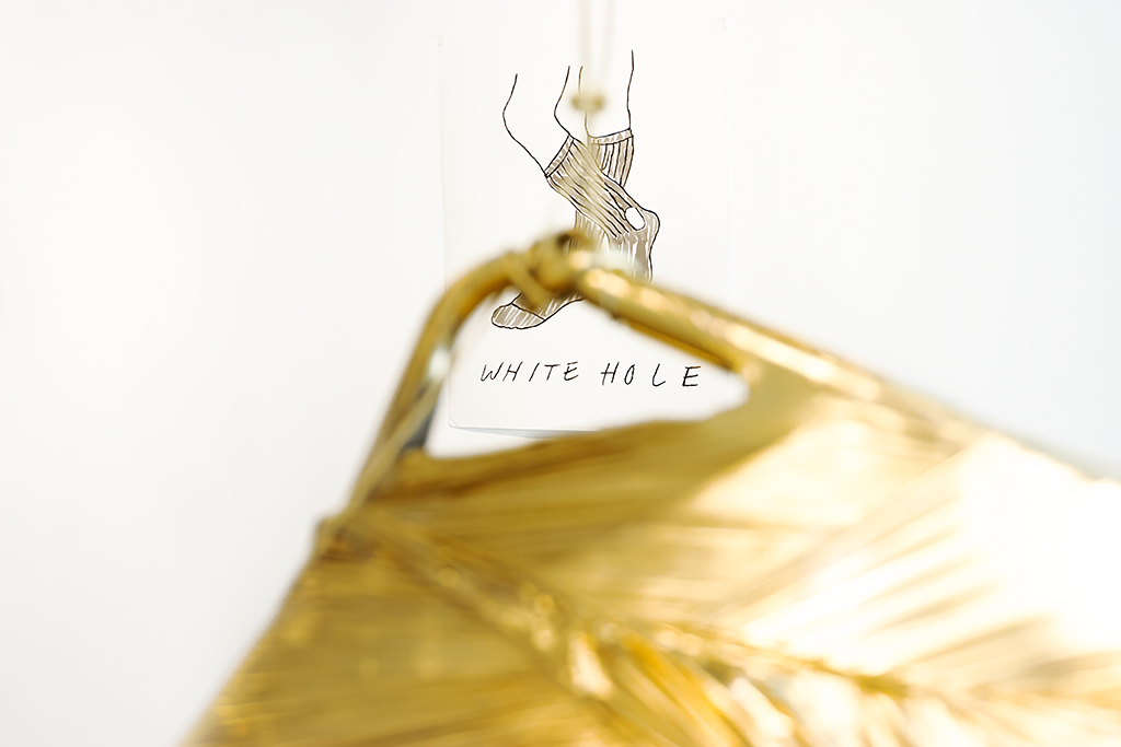 https://joshuabienko.com/files/gimgs/th-35_White_Hole_FULL.png